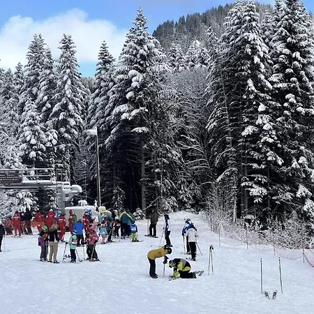 A Torgon Avec Parking Vionnaz